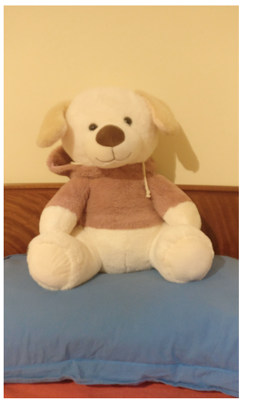 oursechien.png